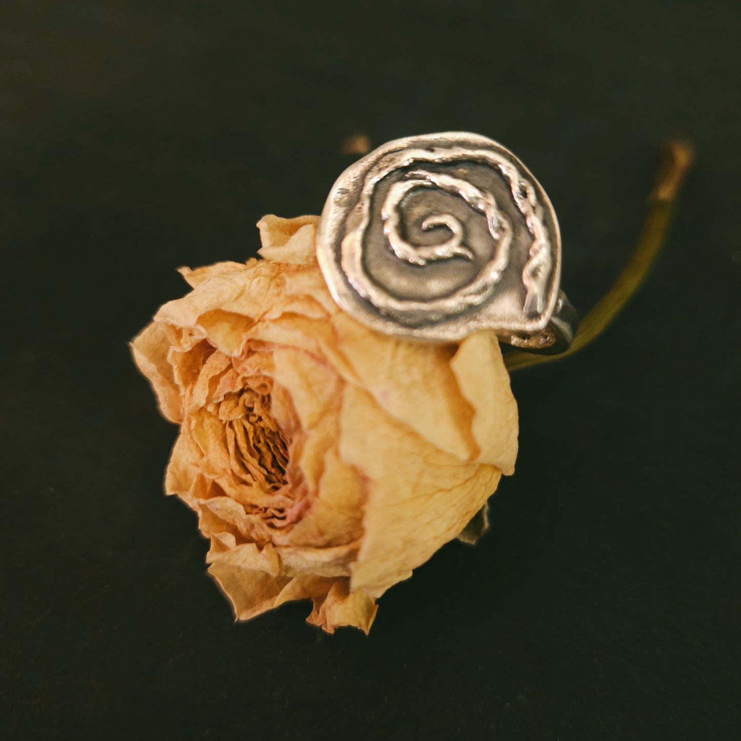 Bague Spirale en argent Sterling
