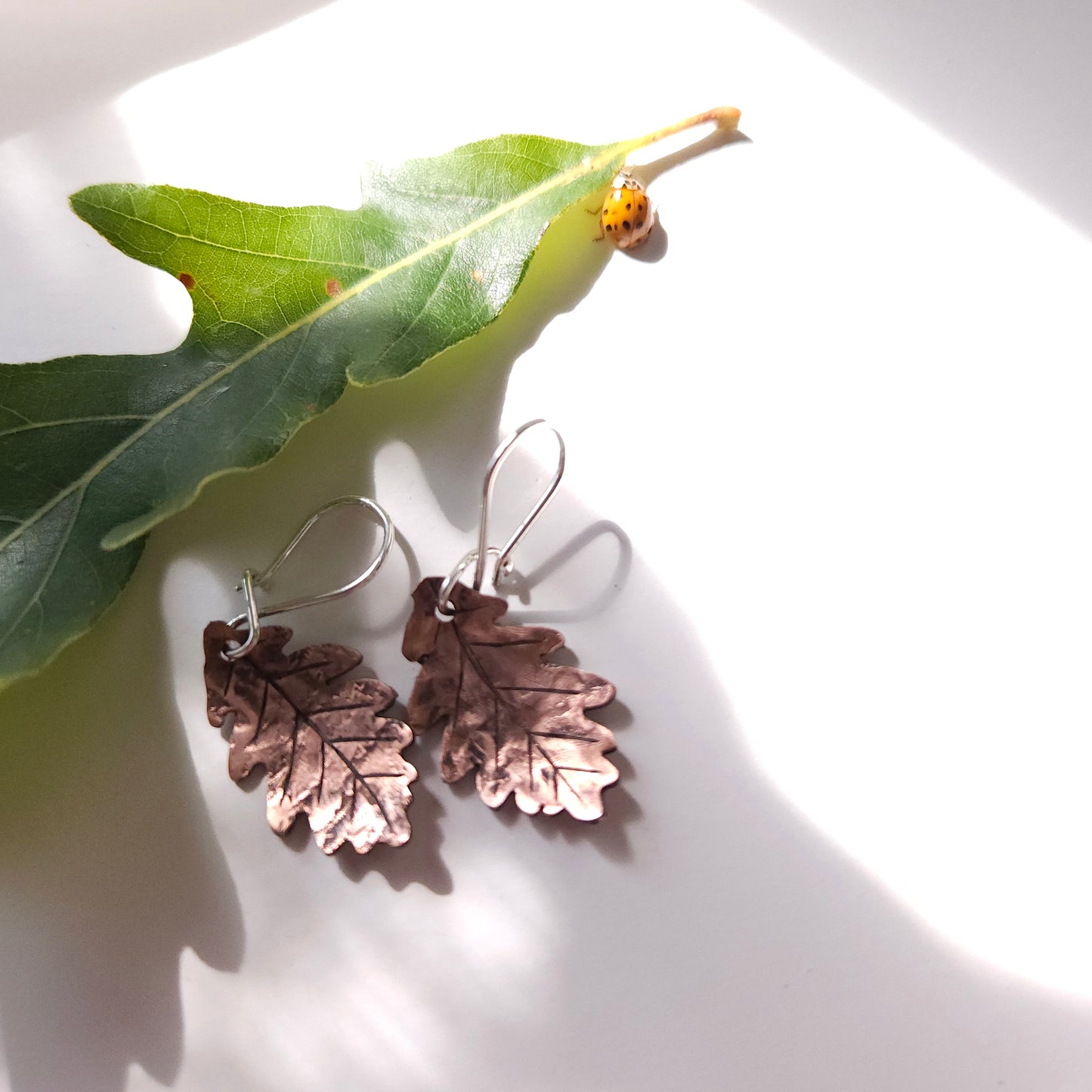 Petites boucles d’oreilles feuilles de chêne en cuivre – crochets argent sterling faits main