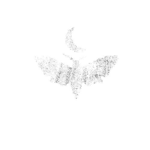 Nora Luna